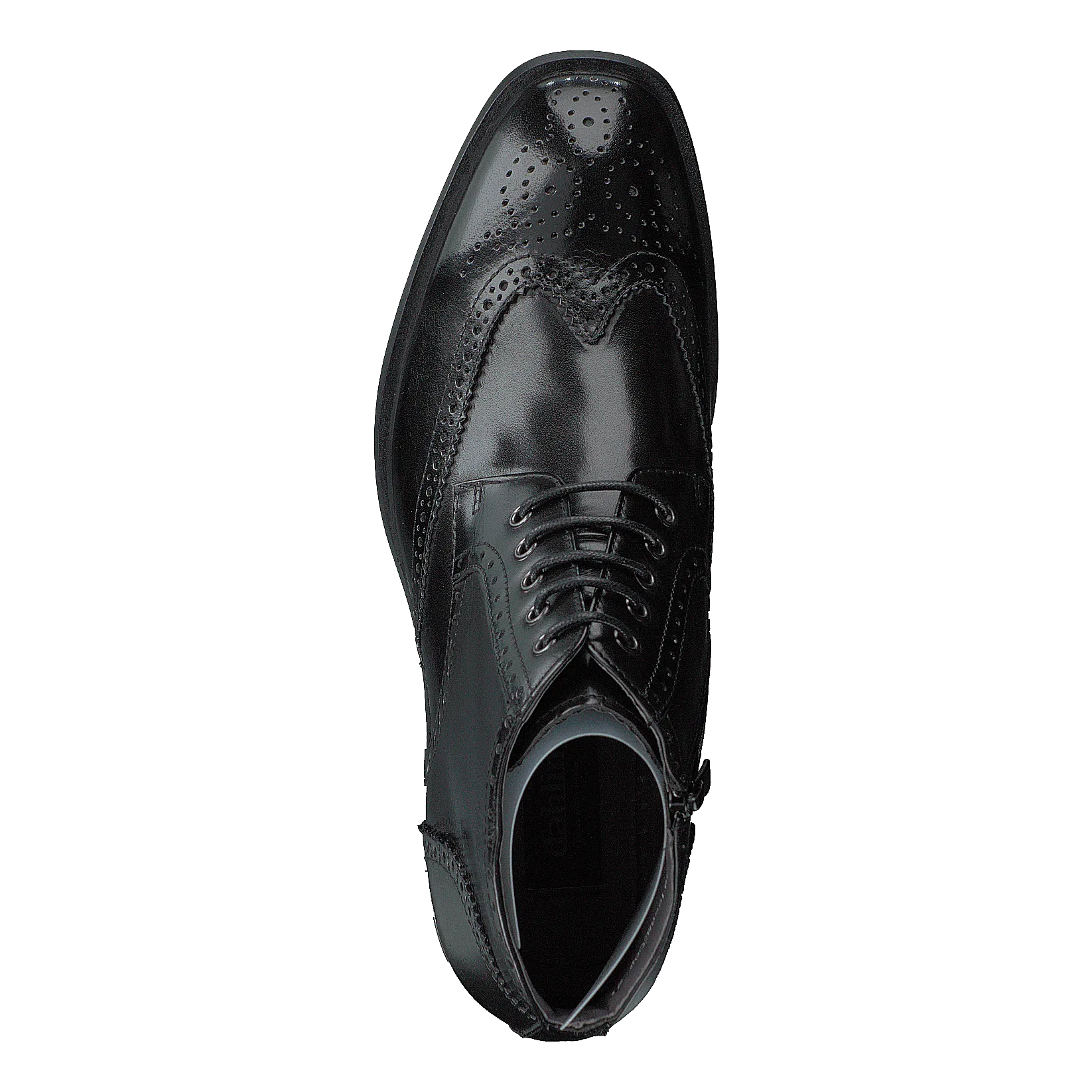 Hardy Black